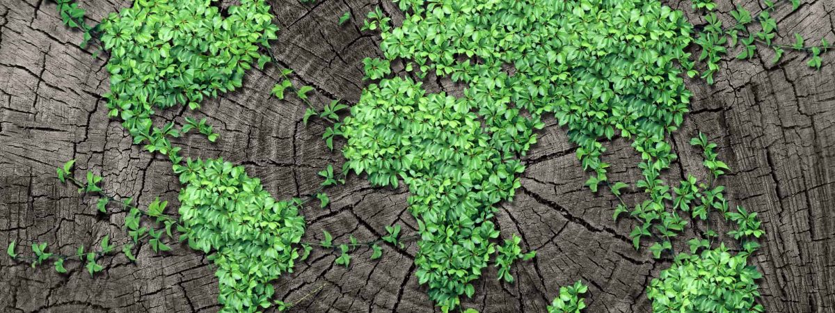Nfts And Their Environmental Impact