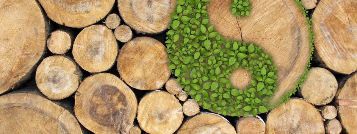 How To  Become A Sustainable Artist
